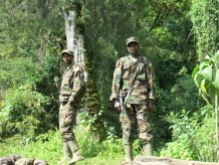 Rwandan Defence Force