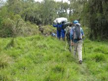Josh and our team of Emmanuelle (Park Guide) and porters trekking to Karasimbi camp site