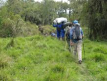 Josh and our team of Emmanuelle (Park Guide) and porters trekking to Karasimbi camp site